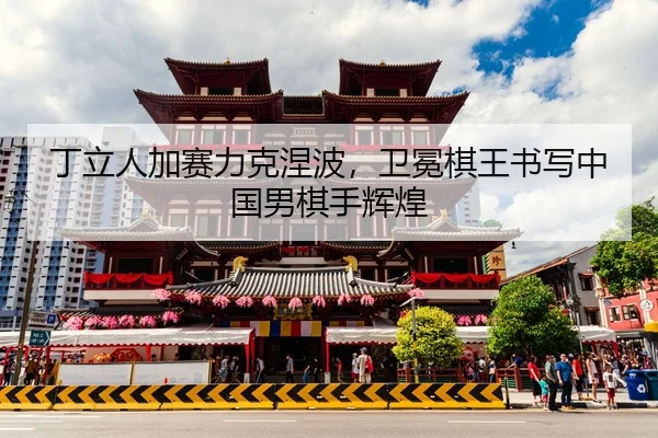 ding-li-ren-jia-sai-li-ke-nie-bo-wei-mian-qi-wang-shu-xie-zhong-guo-nan-qi-shou-hui-huang-2-999.jpg